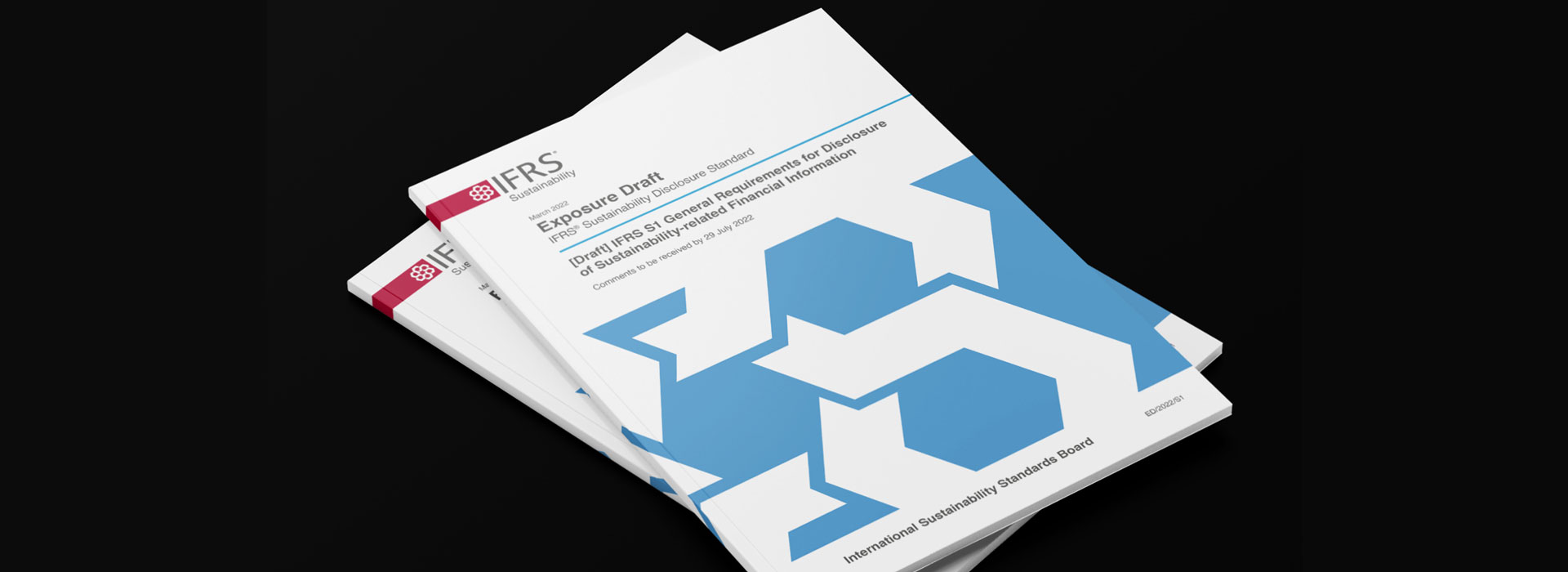 Navigating ESG reporting: The ISSB’s proposed reporting standards and what they mean for companies